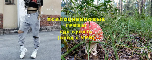 стафф Абдулино