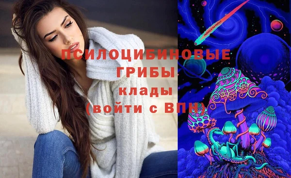 стафф Абдулино